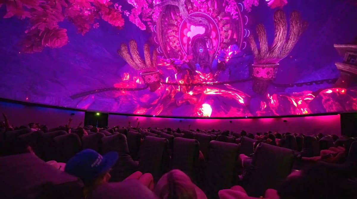 Image for Pico and HP and Coachella collaboration